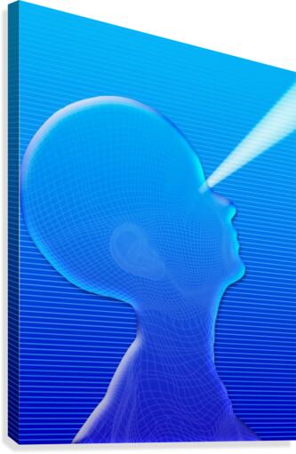 Water Head Canvas Print