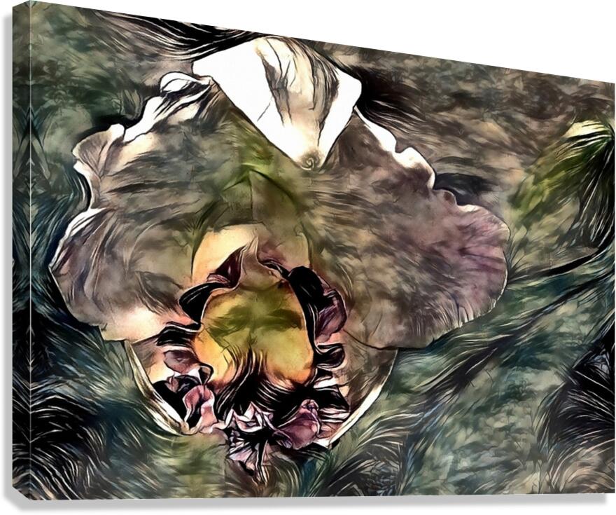 Abstract Iris Flower Canvas Print