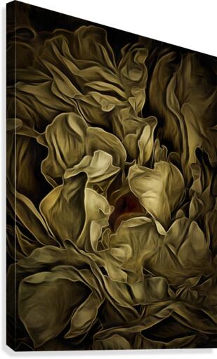 Flowers Canvas Print