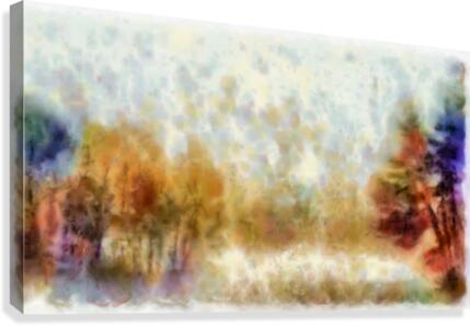 Misty Forest Canvas Print