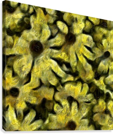Flowers Canvas Print