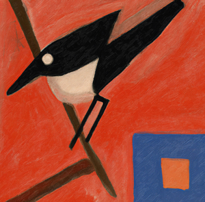 A Bird and a Square
