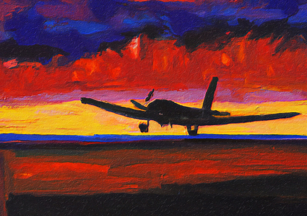 Landing at Sunset IV by aiddia