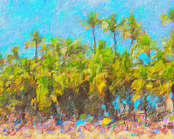 Madeira Beach Print