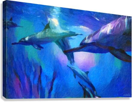 Dolphin Bay Canvas Print