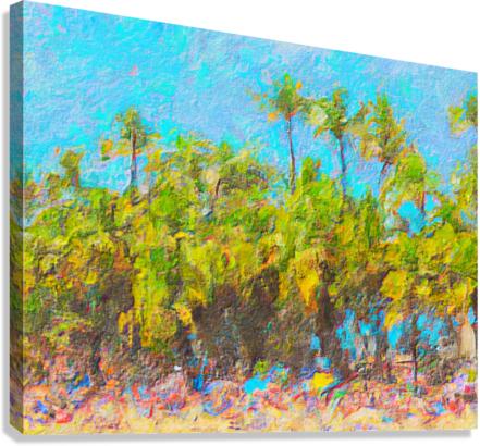 Madeira Beach Canvas Print