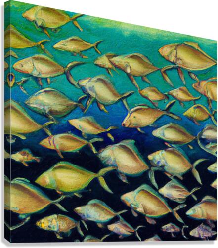 Jack Crevalle Canvas Print