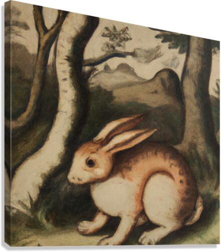 Albert the Rabbit Canvas Print