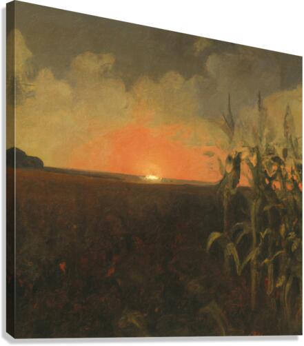 Cornfield at Sunset Canvas Print