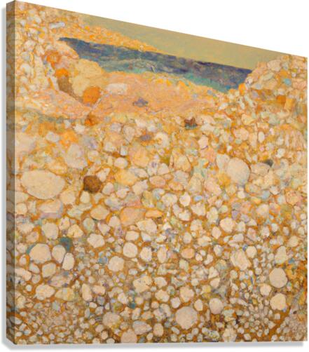 Shell Beach Canvas Print