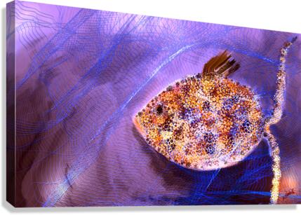Net Canvas Print