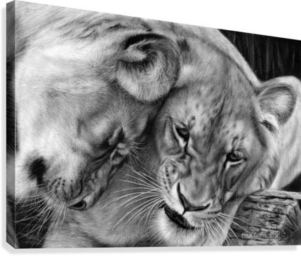 Gentleness Canvas Print