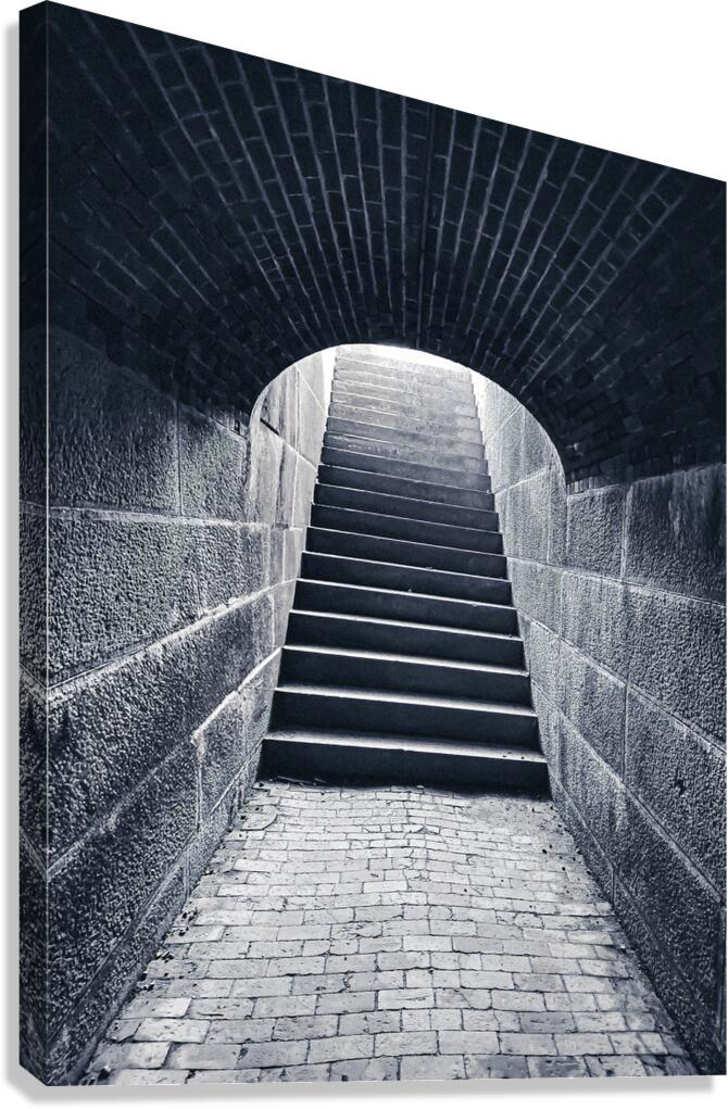 Echoing Steps Canvas Print