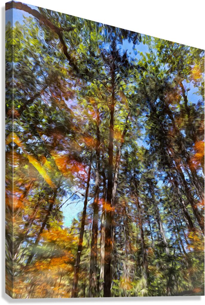 Reflection Canvas Print