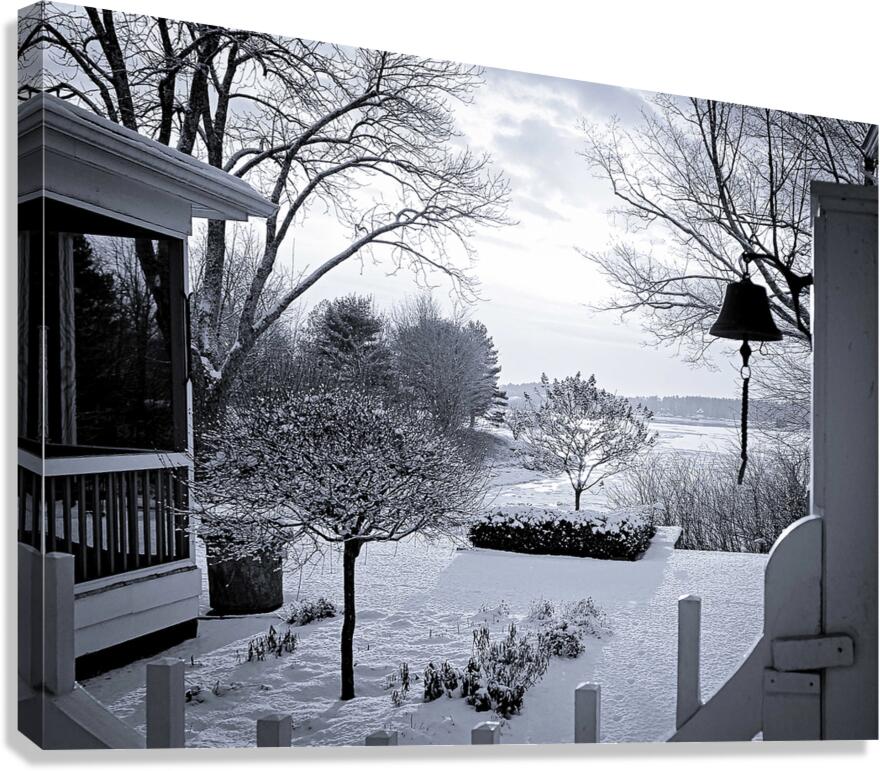 The Backyard Bay Canvas Print