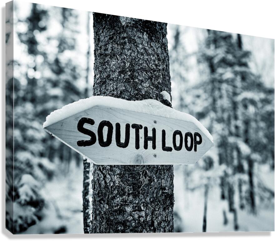 South Loop  Canvas Print