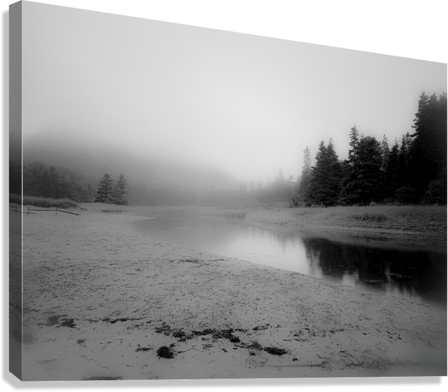 Fogged In Canvas Print