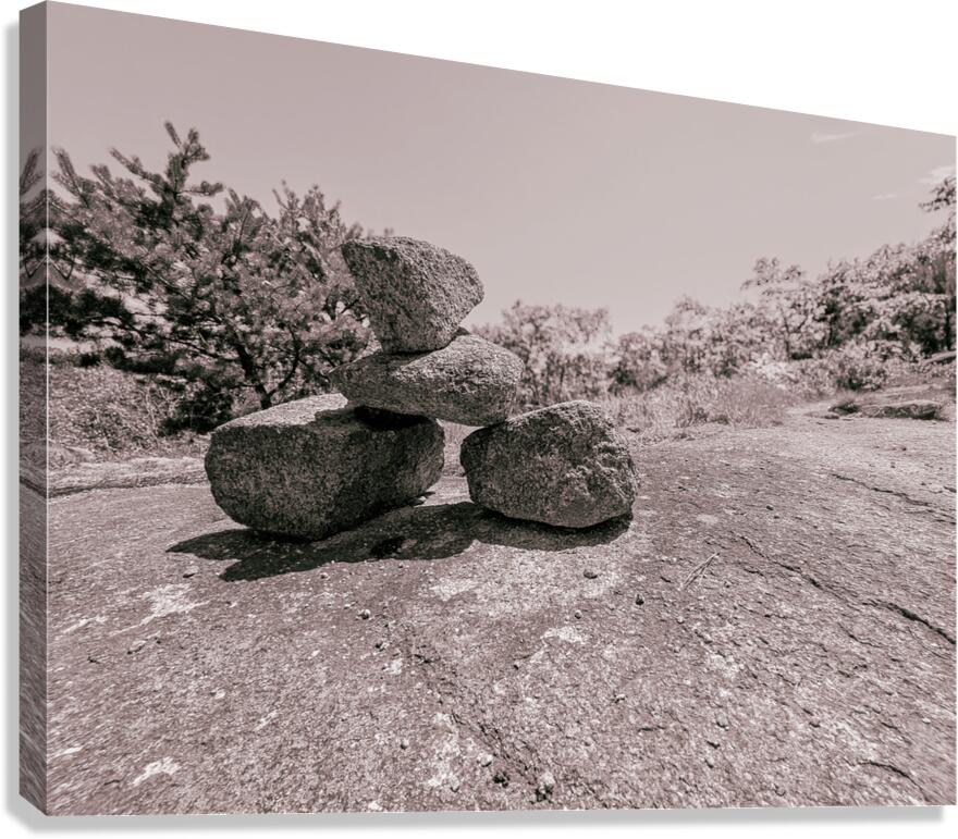 The Guide Canvas Print