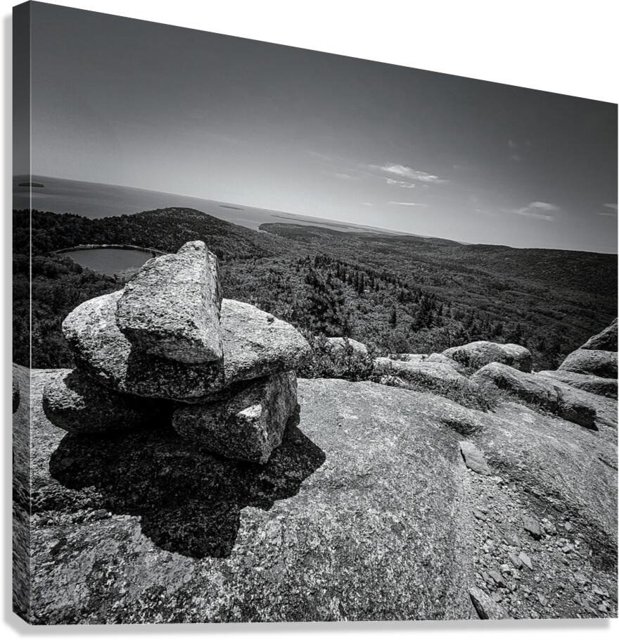 Poised Canvas Print