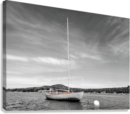 The Boat Canvas Print