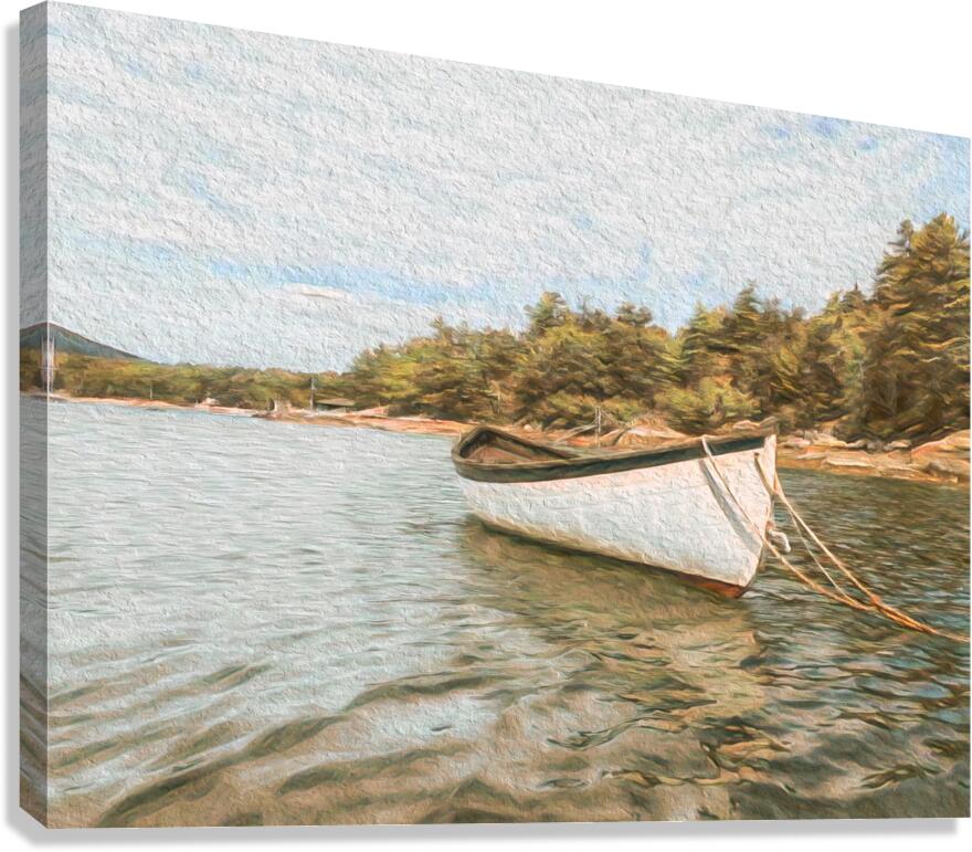 The Rowboat Canvas Print