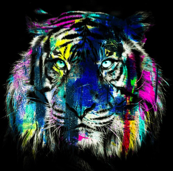 Tigre Print