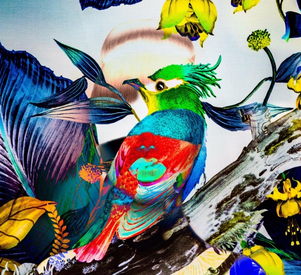 LA FEMME OISEAU  Print