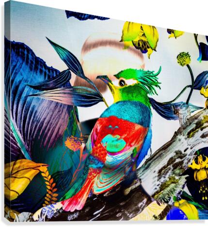 LA FEMME OISEAU  Canvas Print