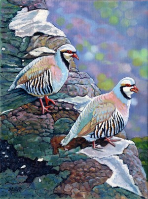 Two Birds On Cliff