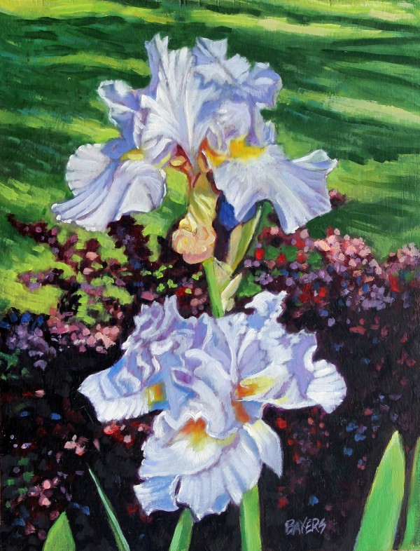Two Light Blue Iris Print