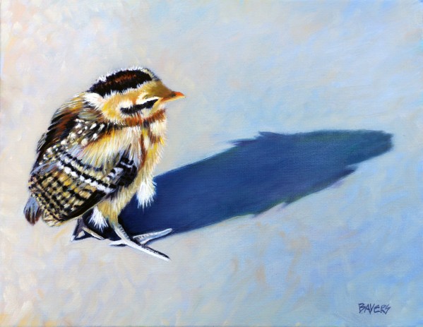 Baby Chick with Blue Shadow by Rick Bayers