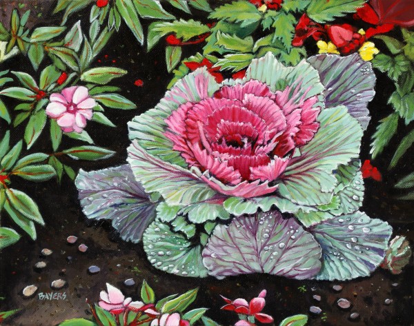 Ornamental Cabbage Print