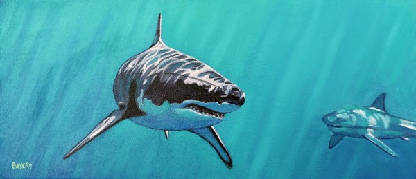 Sharks Print