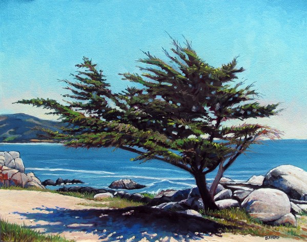 Tree with Shadow at Pebble Beach by Rick Bayers