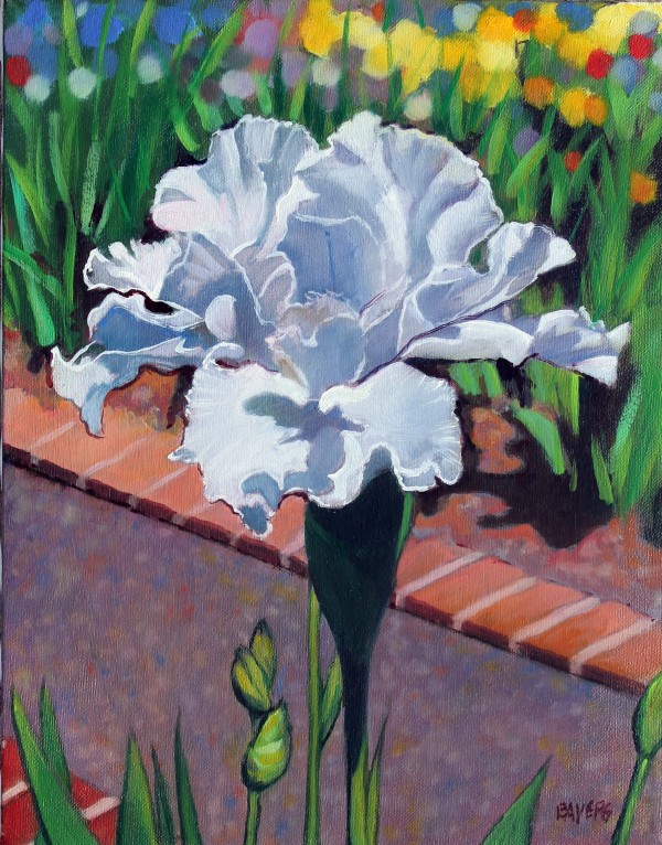 White Iris near Brick Path Print