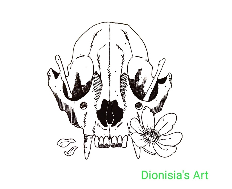 900_Dionisia_IMG_20210805_0119