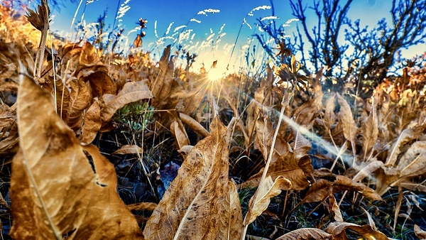 Light Between Moments Print