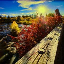 Bridge to Autumn