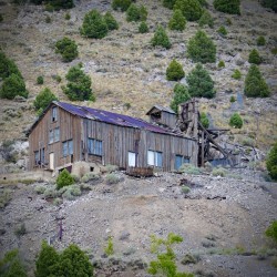 Timbers of Fortune