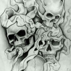 Skull Drawing