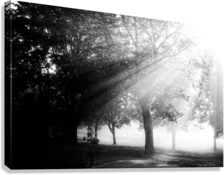 Magic Light and Shadow  Canvas Print