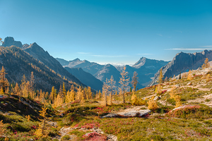 Larches and Porcupine Peak