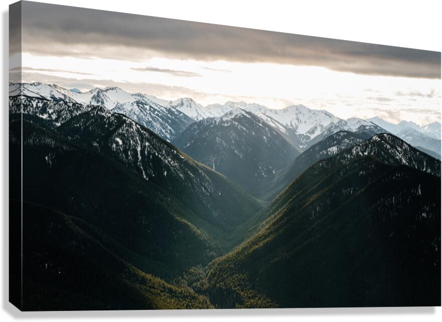 Beams of Light at Hurricane Ridge Canvas Print