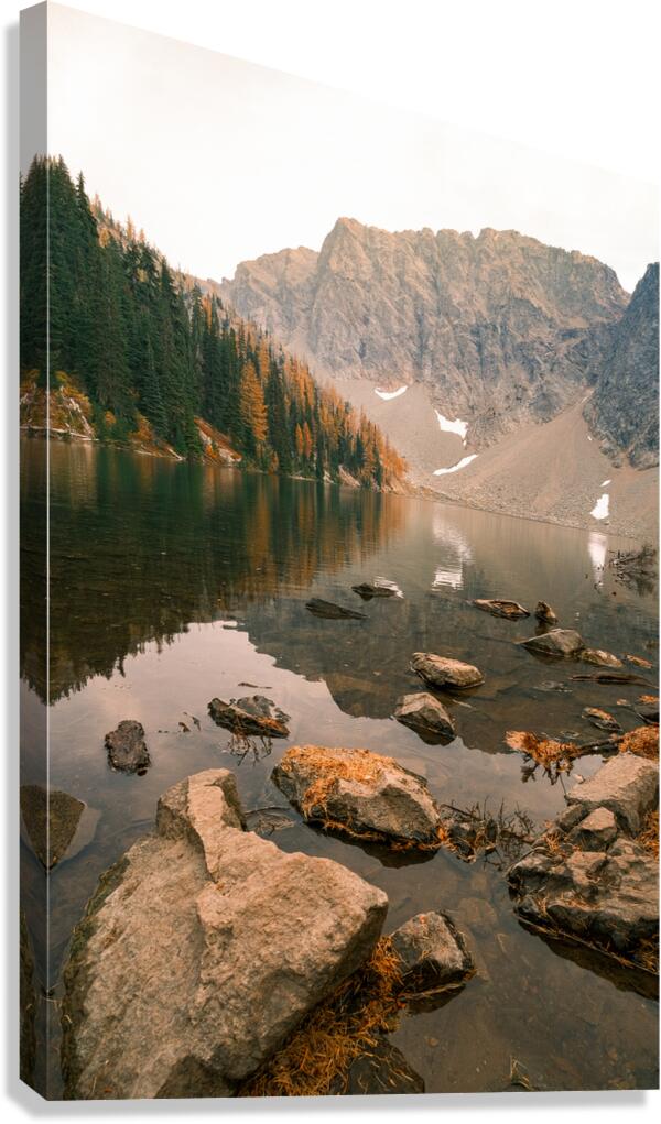 Larch Madness Canvas Print