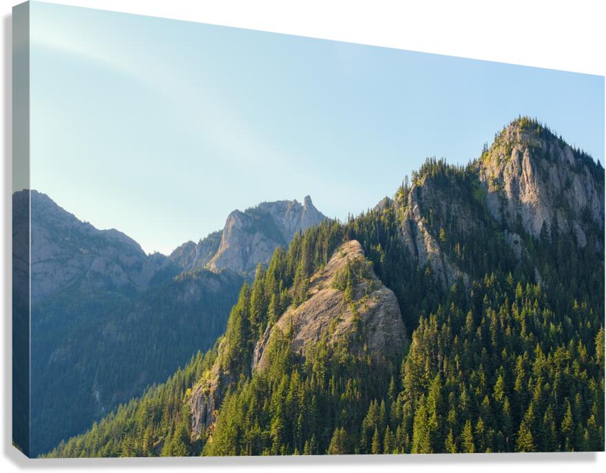 Light in the Olympics Canvas Print