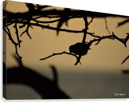 Branch Canvas Print