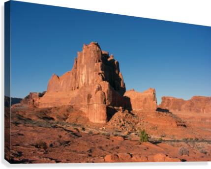 Desert Scape Canvas Print