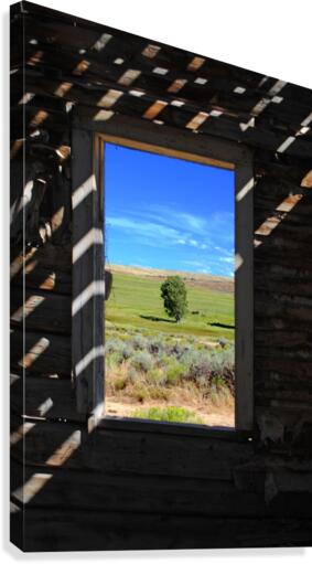 Wild Frontier Canvas Print