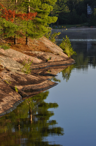 Early Morning Reflection