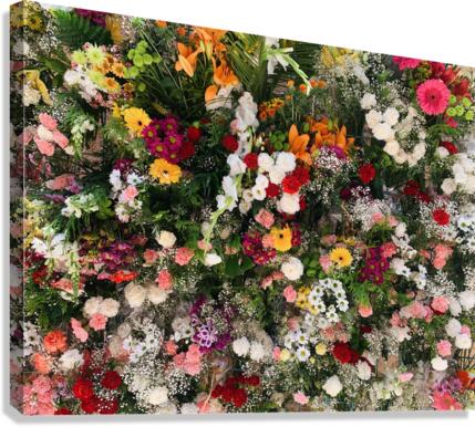 Flower Wall Canvas Print